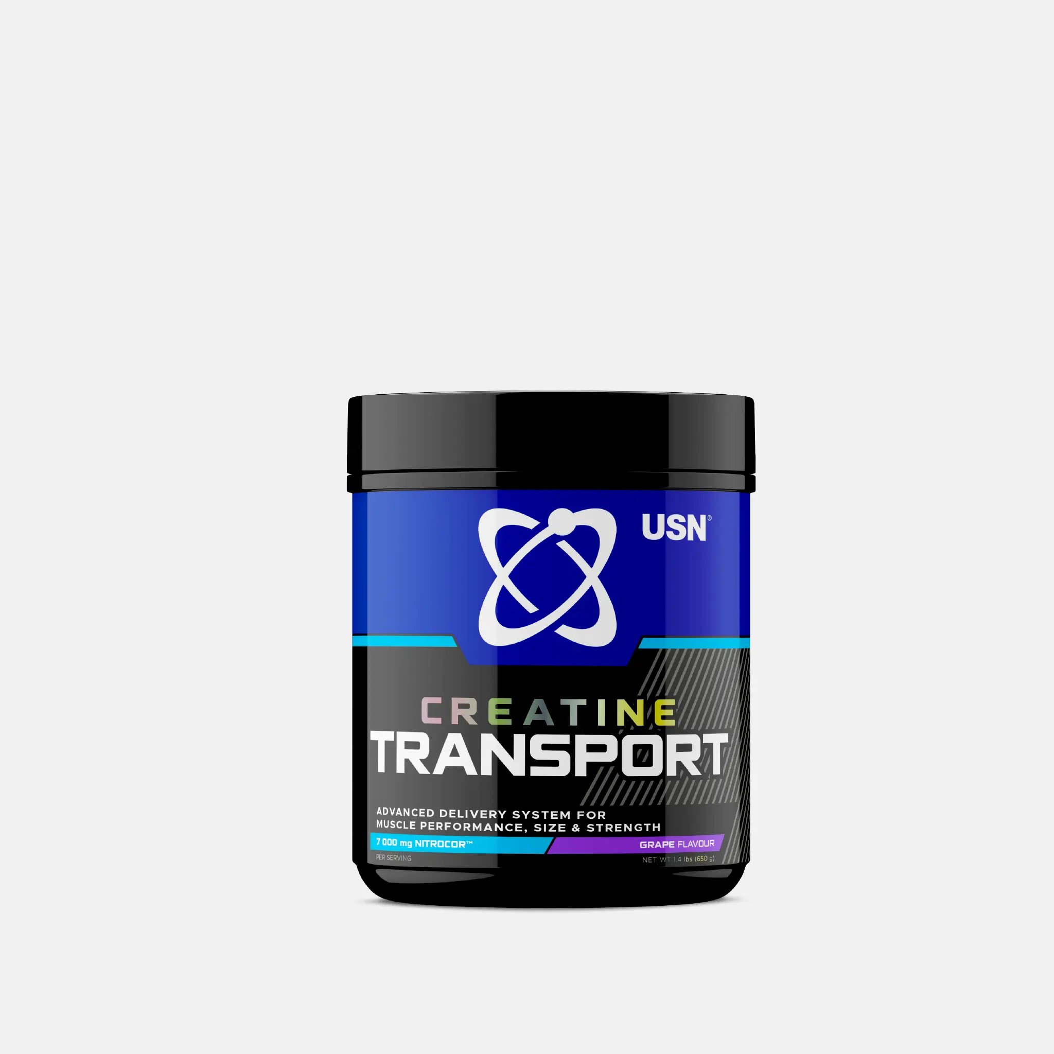 Creatine Transport - Image 3